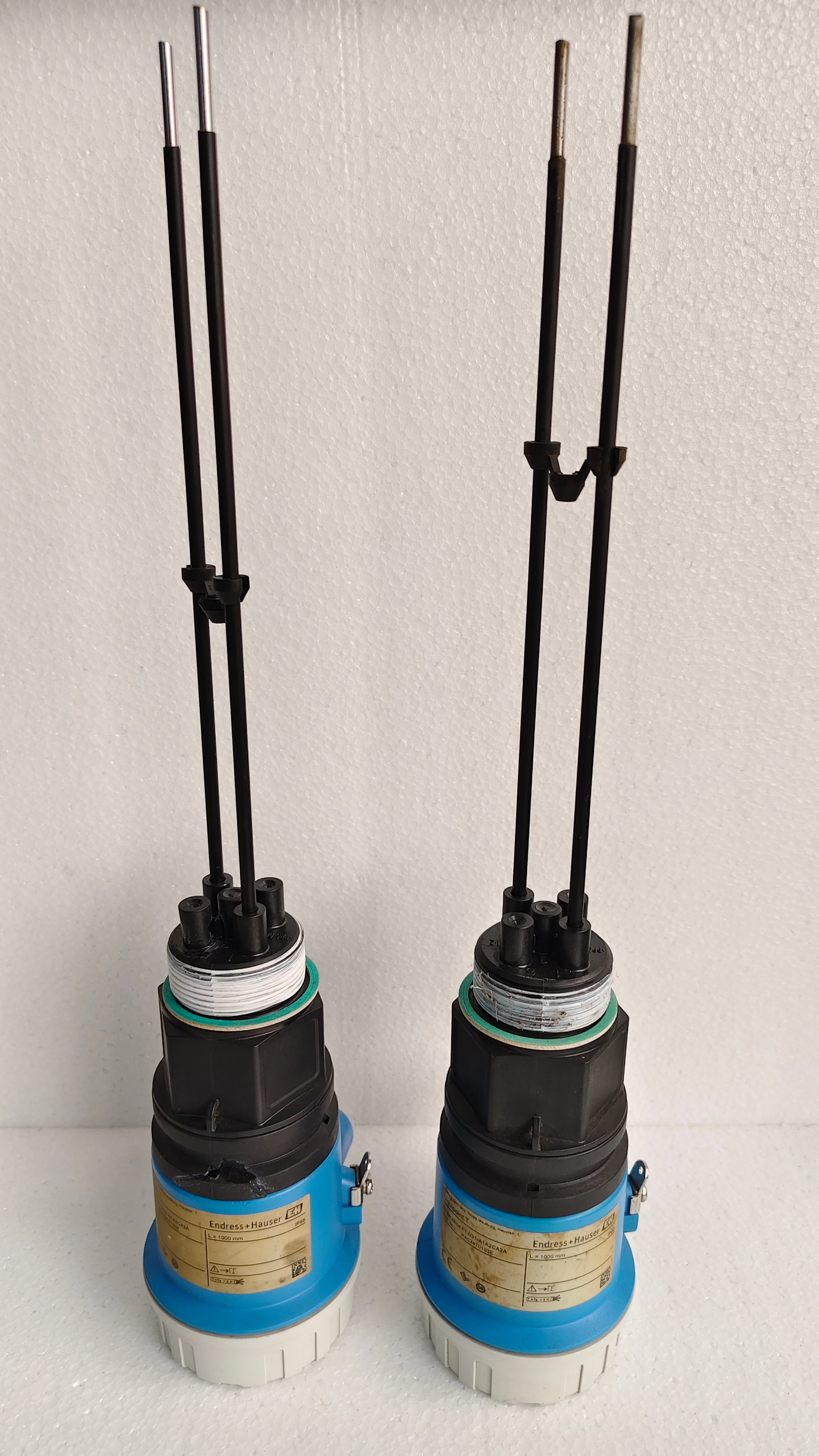 Endress + Hauser FTW31-A1A2CA2A Liquipoint T Conductive point level detector